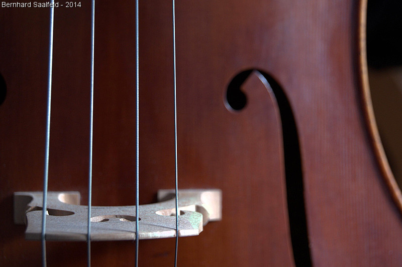 Cello - Bernhard Saalfeld